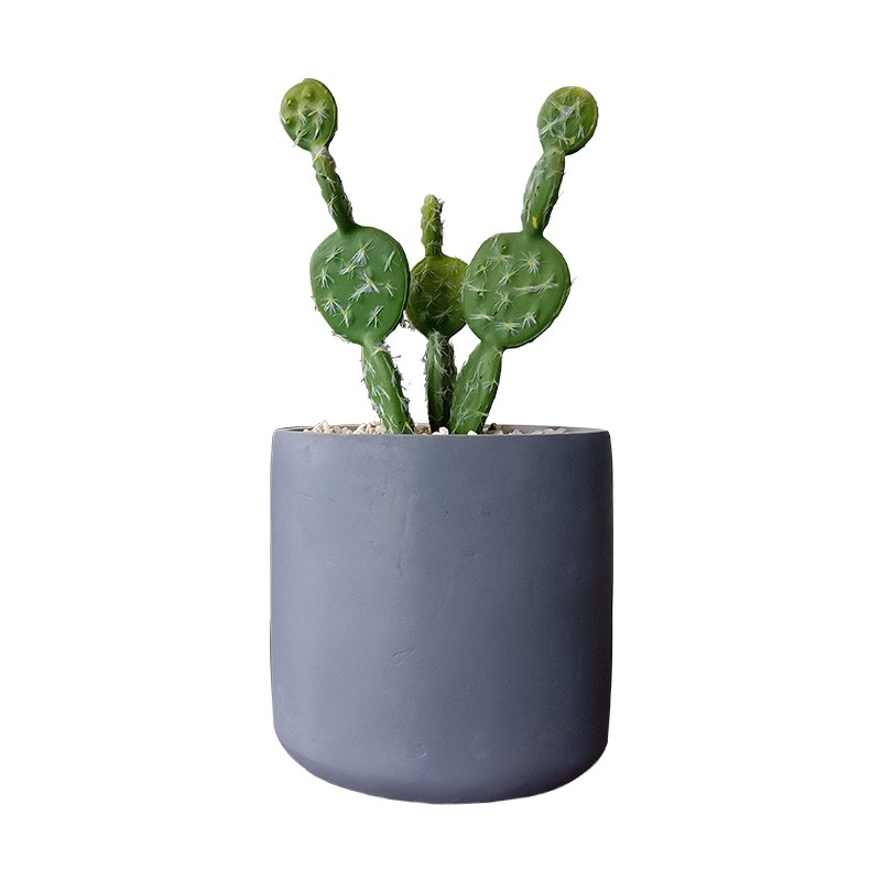 Xianju Yi can fake plant plant decoration