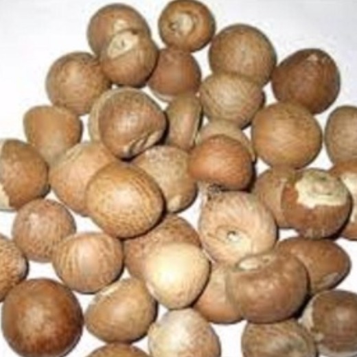 BETEL NUTS