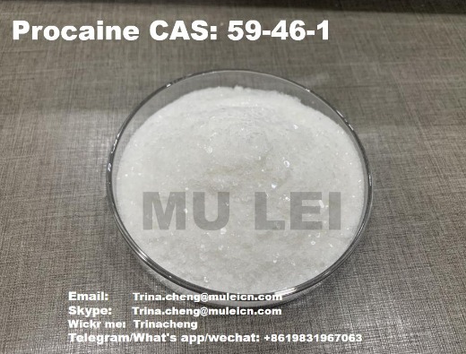 Procaine CAS:59-46-1