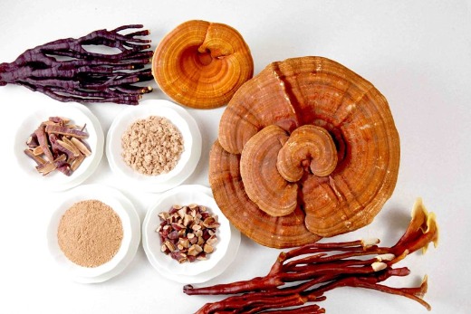 Reishi Extract