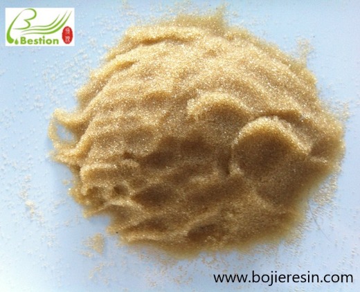 Rapeseed polyphenol separation and purification resin