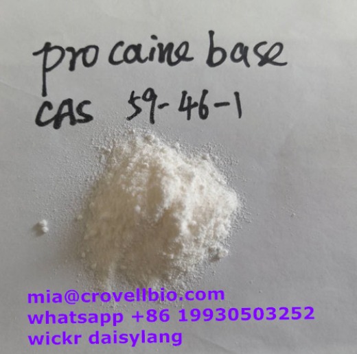 procaine supplier in China  ( wickr daisylang 