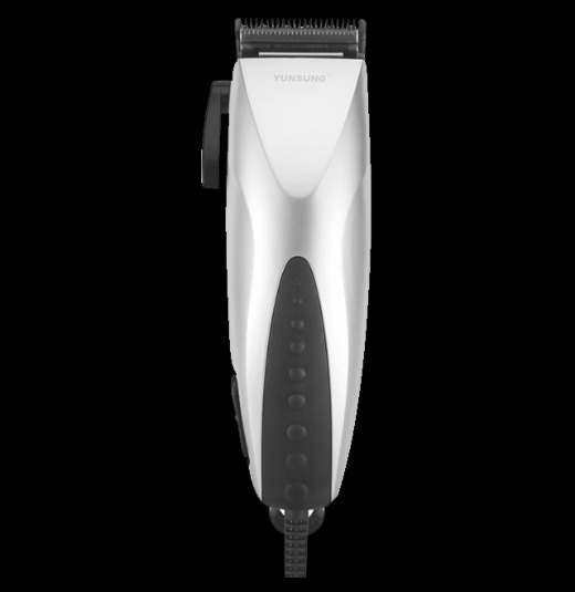Professional Salon Hair Dryer