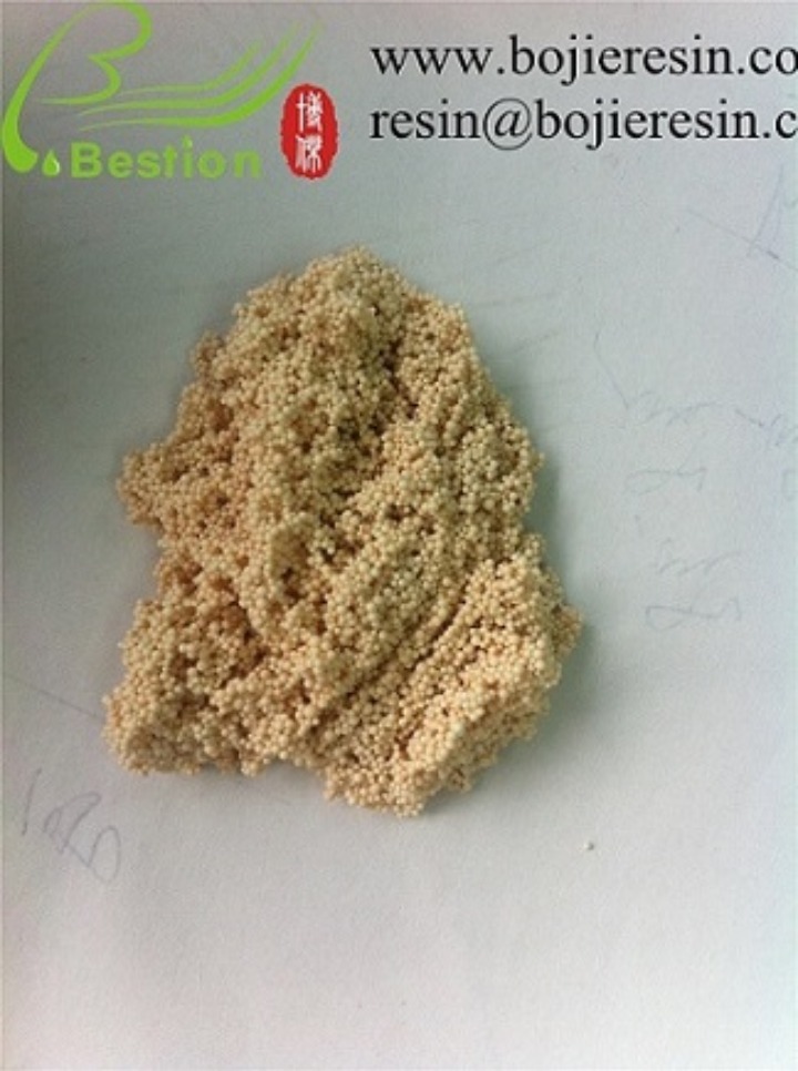 Arginine Extraction Ion Exchange Resin