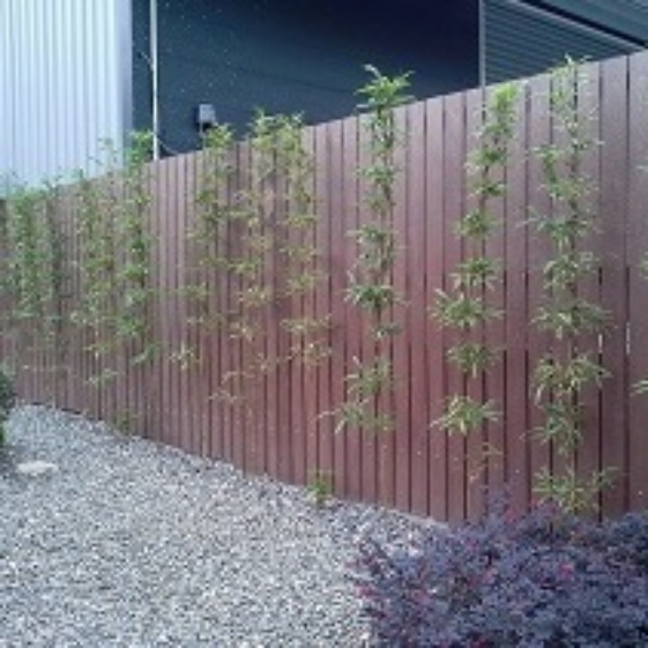 Plastic Fence