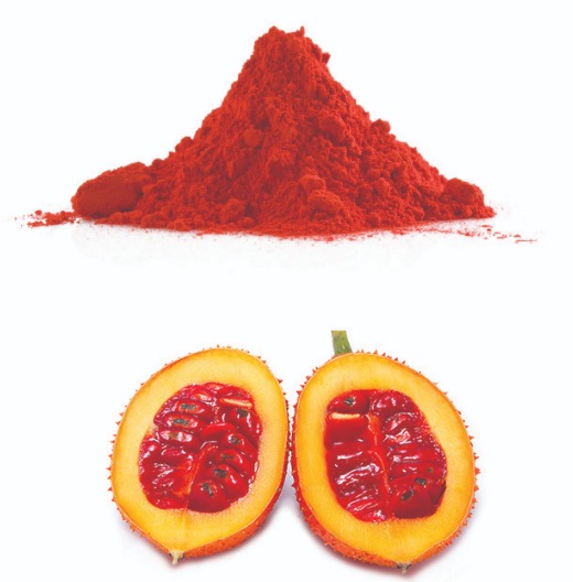 Gac Powder