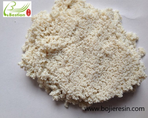Lipase immobilization resin
