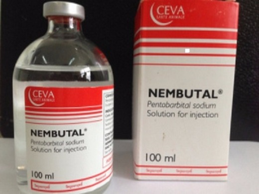 BUY NEMBUTAL,KETAMINE AND OTHERS ONLINE