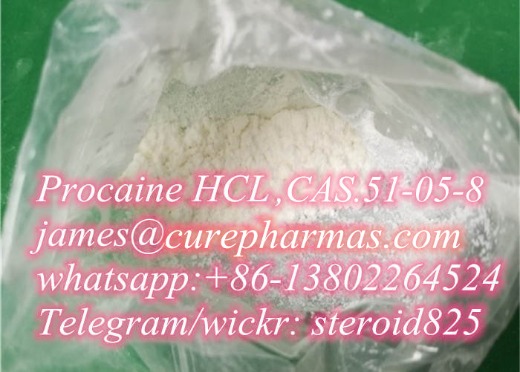 Procaine HCL china supplier,Procaine,CAS:51-05-8,guarantee delivery