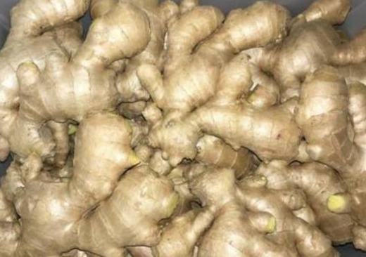 Ginger