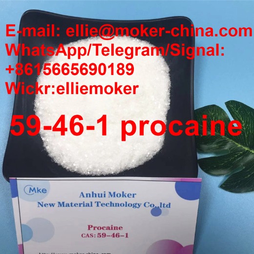 Factory Supply Procaine/ Hydrochloride 