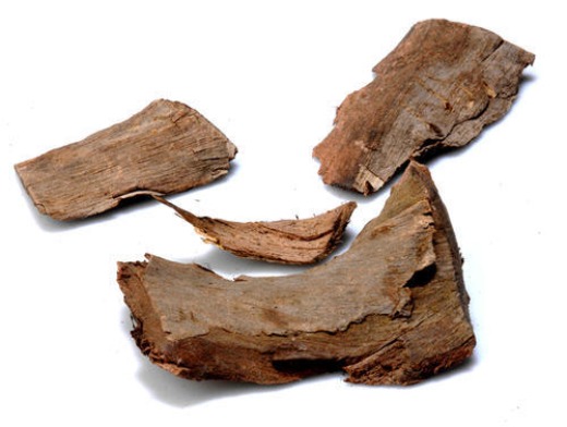 Jamun Tree Bark