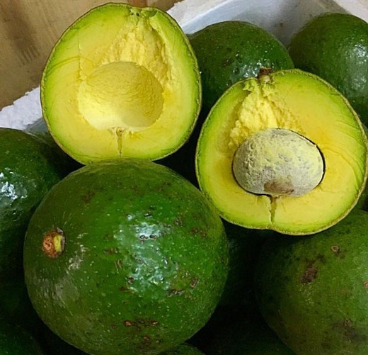 avocado