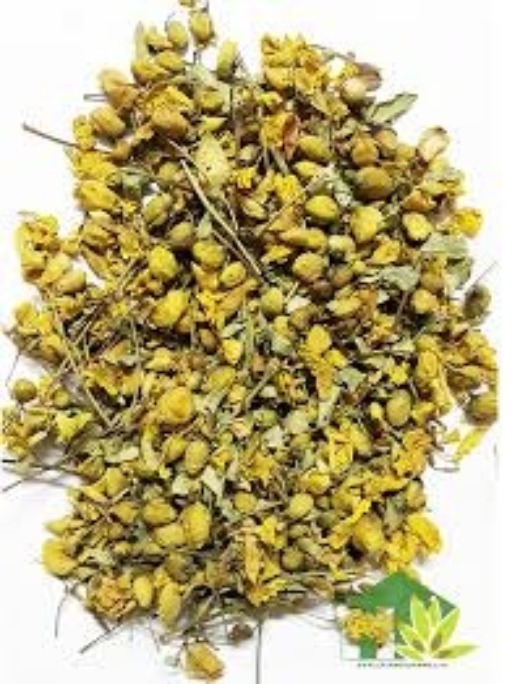 AVARAMPOO -CASSIA AURICULATA DRIED