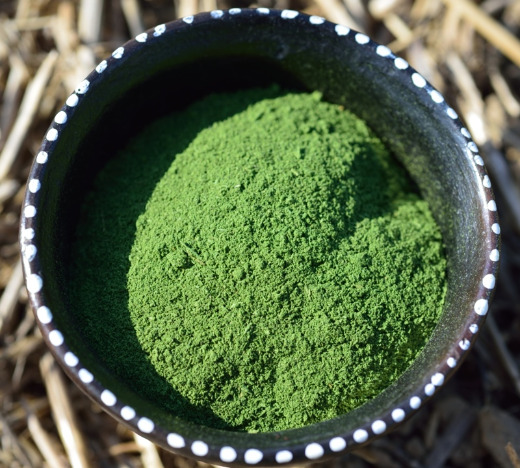 Moringa 