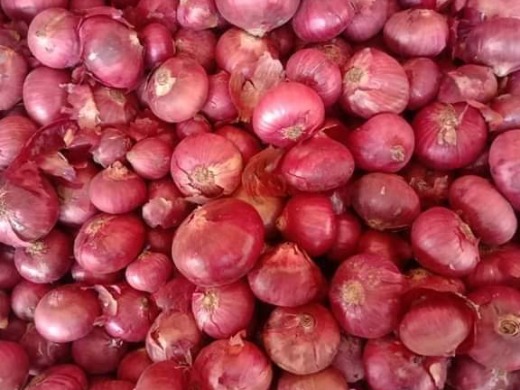 Onion