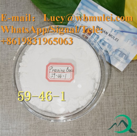 Procaine Base Powder 59-46-1 Organic Raw Materials for Pain Reliever 