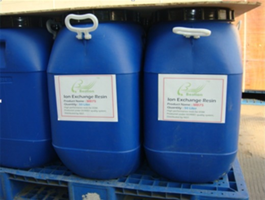 Macroporous resin purification of total flavonoids