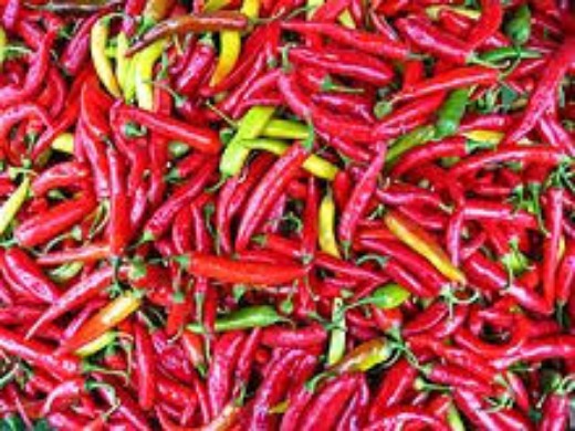 organic and agricultural products, dealing with food stuffs and supplying food to you 