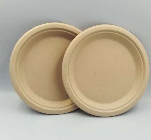 10 Inch Free PFAS Chemical Oven Safe Biosourced Raw Materials Green Plates Disposable Dishes 