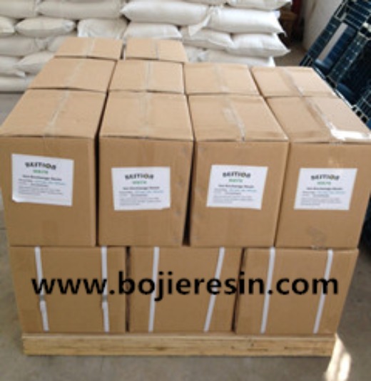 Camptothecin adsorbent resin