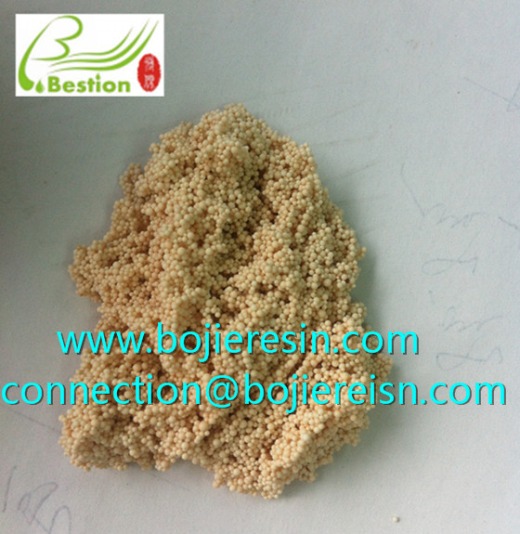 Acanthopanax saponins extraction resin