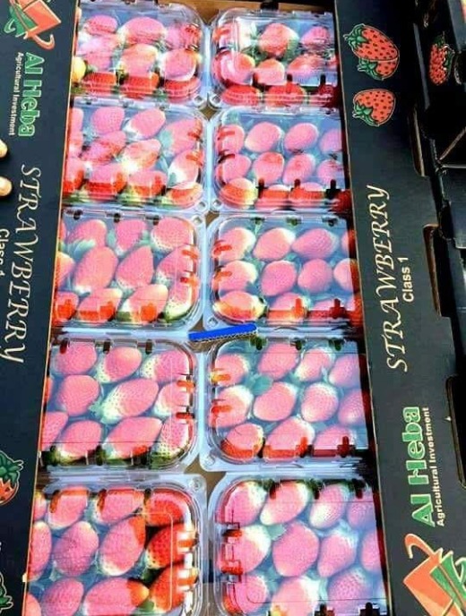 Strawberry