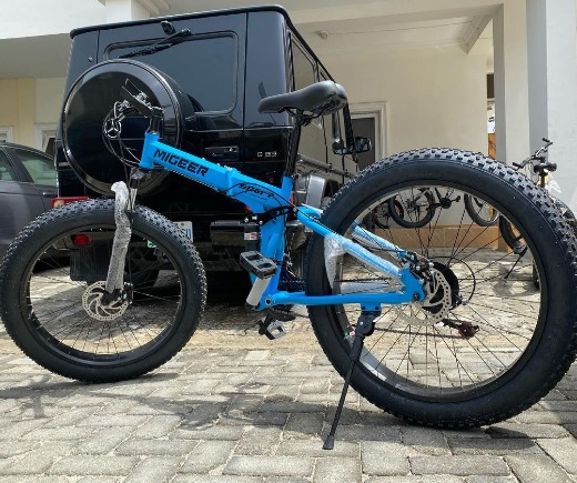 Foldable Bicycle