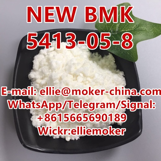 Hot Sale Ethyl 2-Phenylacetoacetate Powder New Bmk CAS 5413-05-8 in Stock