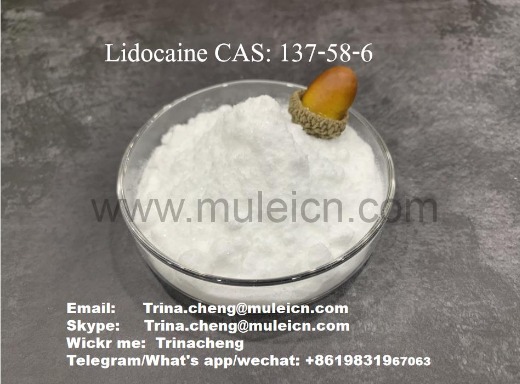 Lidocaine CAS137-58-6