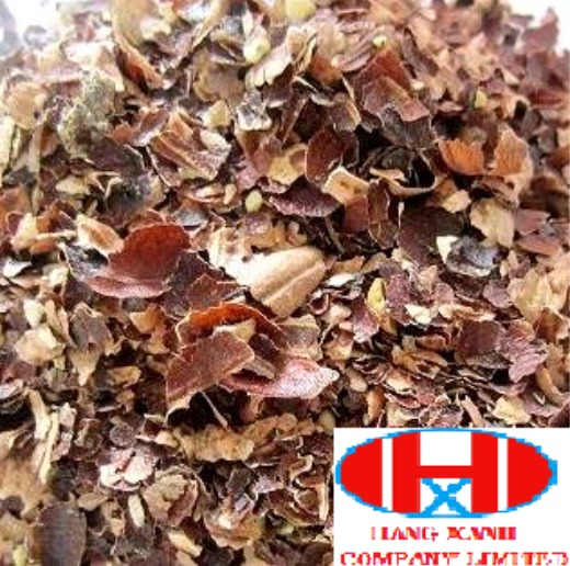 Cashew Testa Skin