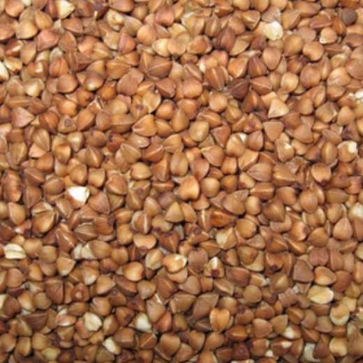 Buckwheat 