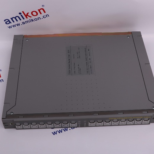 ICS TRIPLEX T9110