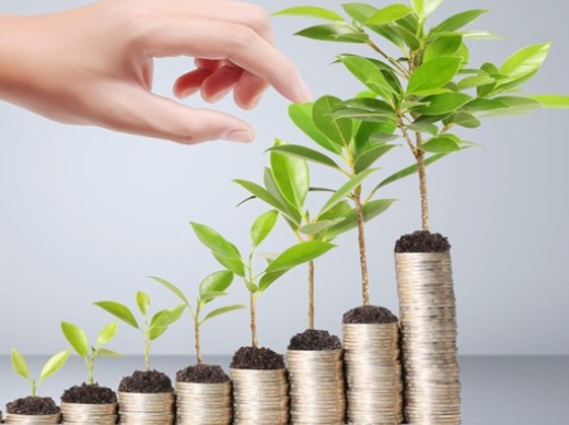 Startup Your Business At 3% Rate Loan Apply Now 