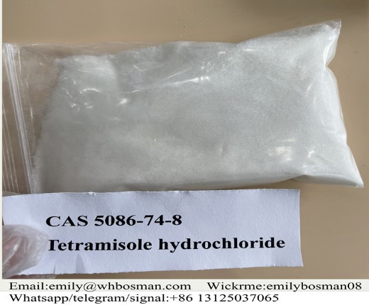 Sell Tetramisole hydrochloride Good Price