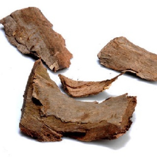 Jamun Tree Bark