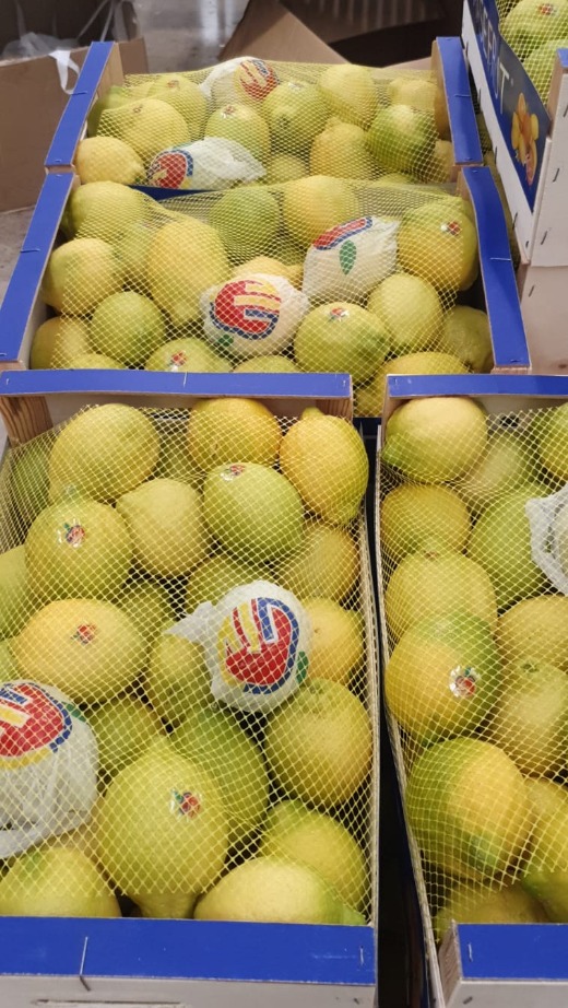 LEMOS 