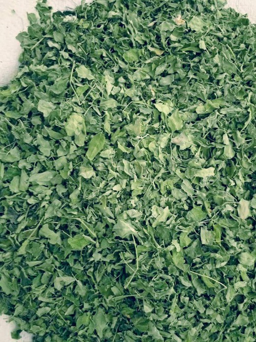 Moringa Dried Leaves