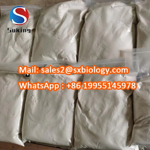 Supply 99% 1-N-Boc-4- (Phenylamino) Piperidine Powder 125541