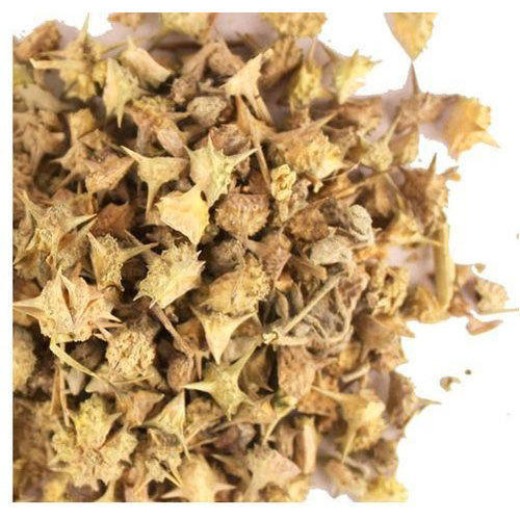 Gokhru Seeds