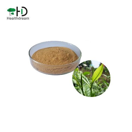 Organic Green tea extract, with active ingredients EGCG/ L-theanine/Tea Polyphenol         