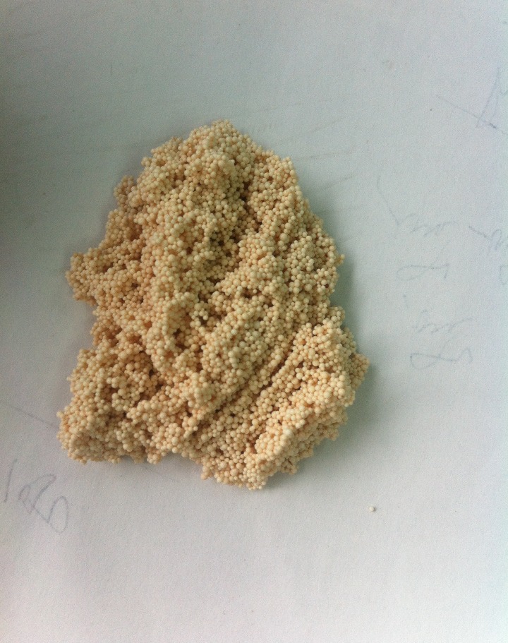 Rare earth elements extraction resin