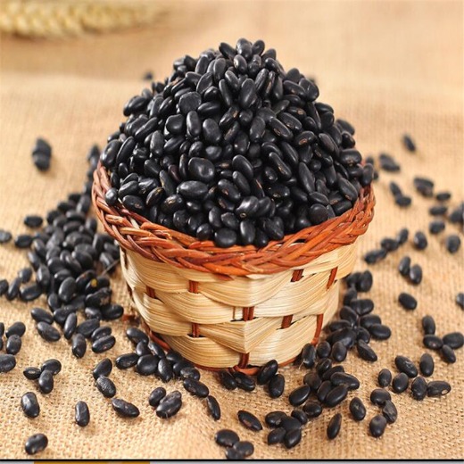 Black Bean