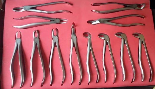 Dental Extracting Forcep