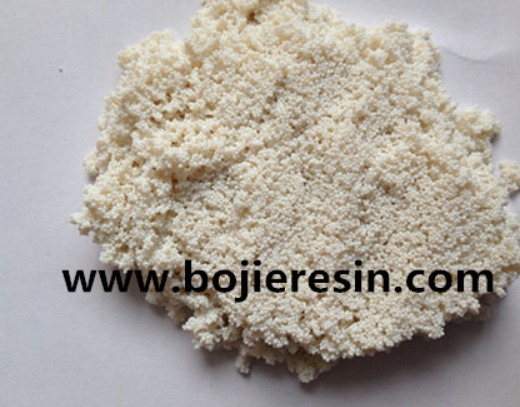 Ginkgo flavonoid extract resin