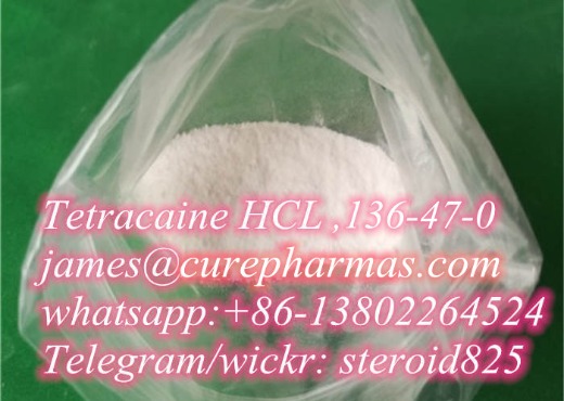 high quality Tetracaine Hcl supplier,Tetracaine,CAS.136-47-0,guarantee customs pass