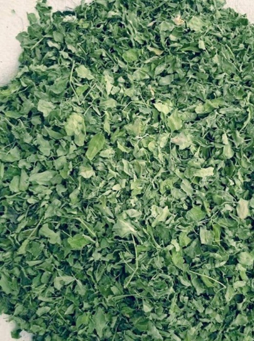 Moringa Dried Leaves
