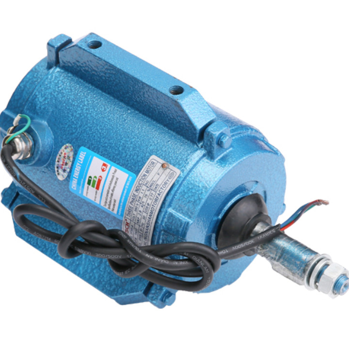 Electric Motors