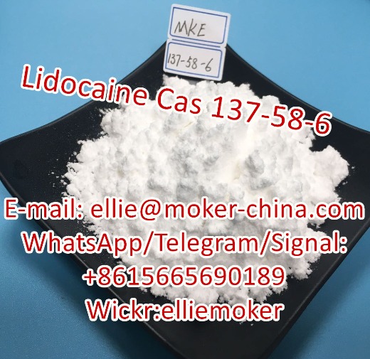 Pharmaceutical Intermediate Local Pain Killer Lidocaine Powder Lidocaine Base Lidocaine CAS 137-58-6