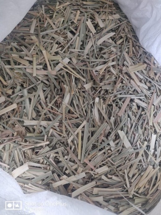 Lemong Grass